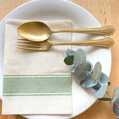 Bionap Napkin Extra Soft 30x40 Kitchen Green Compostable (Box of 800)