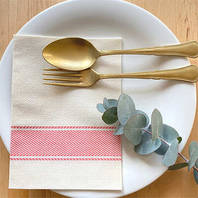 Bionap Napkin Extra Soft 30x40 Kitchen Red Compostable (Box of 800)