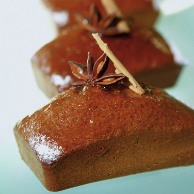 Demarle 18 Ingots 102x58x30mm