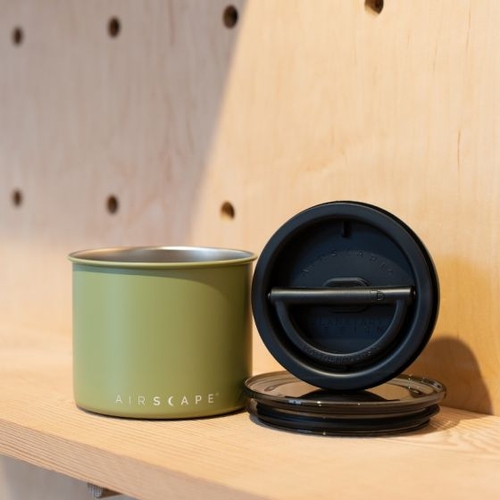 Airscapes 250g 4" Small - Matte Lichen
