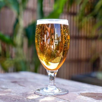 D-Still Essentials Polycarbonate Goblet 380ml (Box of 4) - DS8981