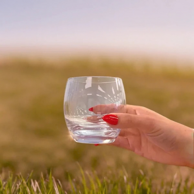 D-Still Essentials Polycarbonate Round Tumbler 410ml (Box of 4) - DSX033
