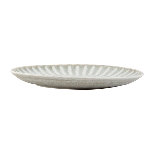 Olympia Corallite Plate 280mm (Box of 6)