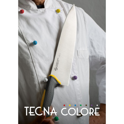 Ambrogio Sanelli Tecna Slicing Knife - 200mm Red