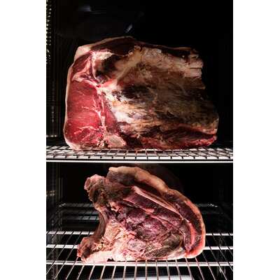 Everlasting DAE0700 Dry Aging Cabinet - DAE0700