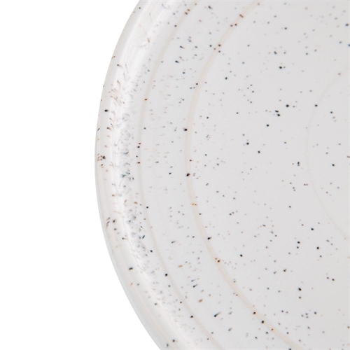 Olympia Cavolo White Speckle Flat Round Plate 270mm (Box of 4) - FD904