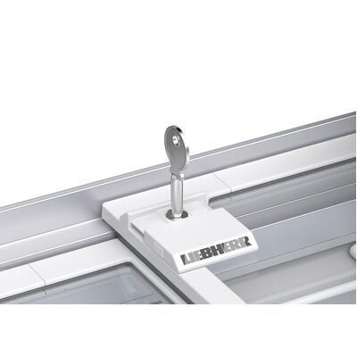 Liebherr EFI2853 Curved Glass Slide Lid Freezer - EFI2853