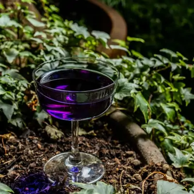 Onis Classic Bar Fizz Coupe 165ml (Box of 6) - ON1019064