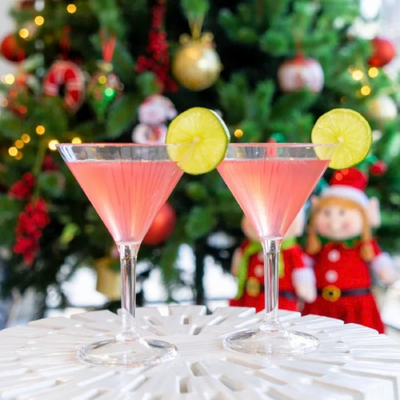 D-Still Essentials Polycarbonate Martini 280ml (Box of 4) - DS8582