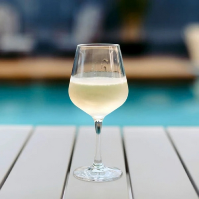 D-Still Sip Easy Polycarbonate Hybrid Wine 285ml (Box of 4) - DSX040