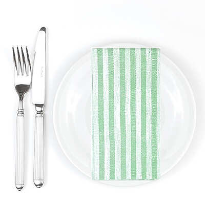 Bionap Napkin Extra Soft 40x40 GT Kim Green Compostable (Box of 800) - 1101134-Carton