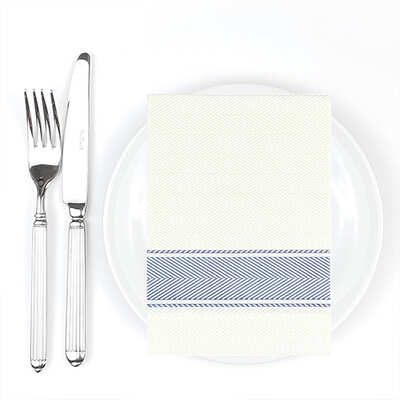 Bionap Napkin Extra Soft 30x40 Kitchen Blue Compostable (Box of 800) - 1101205-Carton
