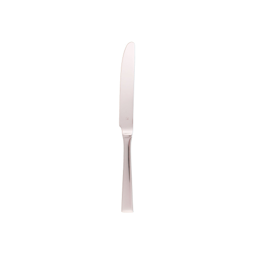 Trenton Montreal Table Knife - Solid Handle 222mm (Box of 12) - 18272_TN