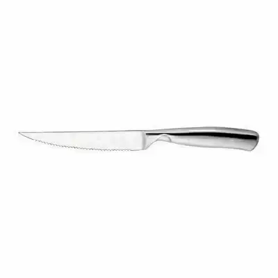 Cavalier Steak Knife with SS Handle - Point Tip 230mm (Box of 12) - 19940