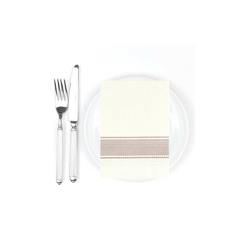 Bionap Napkin Extra Soft 30x40 Kitchen Brown Compostable (Box of 800)