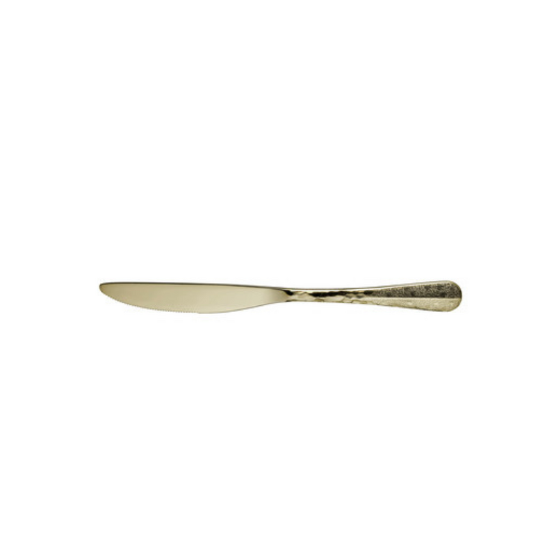 Trenton Amsterdam Champagne - Dessert Knife Solid Handle 210mm (Box of 12)