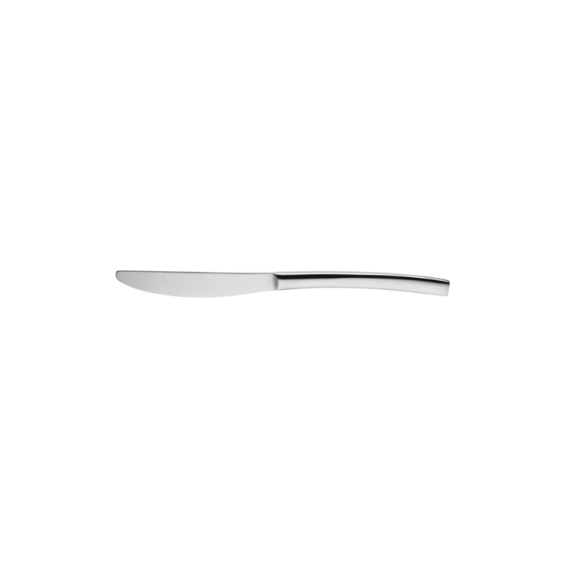 Trenton Brisbane - Table Knife Solid Handle 225mm (Box of 12)