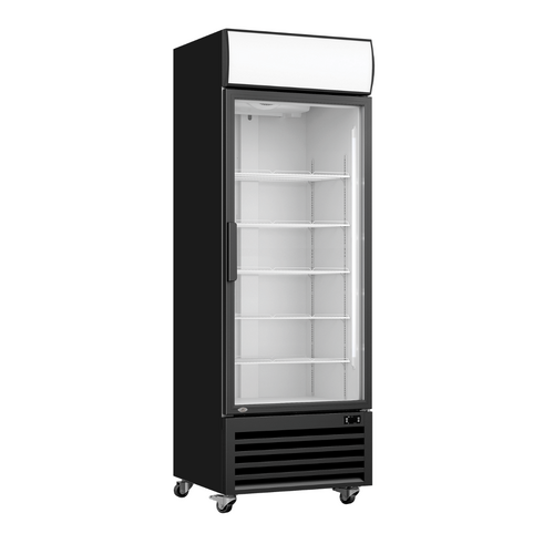 Thermaster LG-370BP - Single Glass Door Colourbond Upright Drink Fridge
